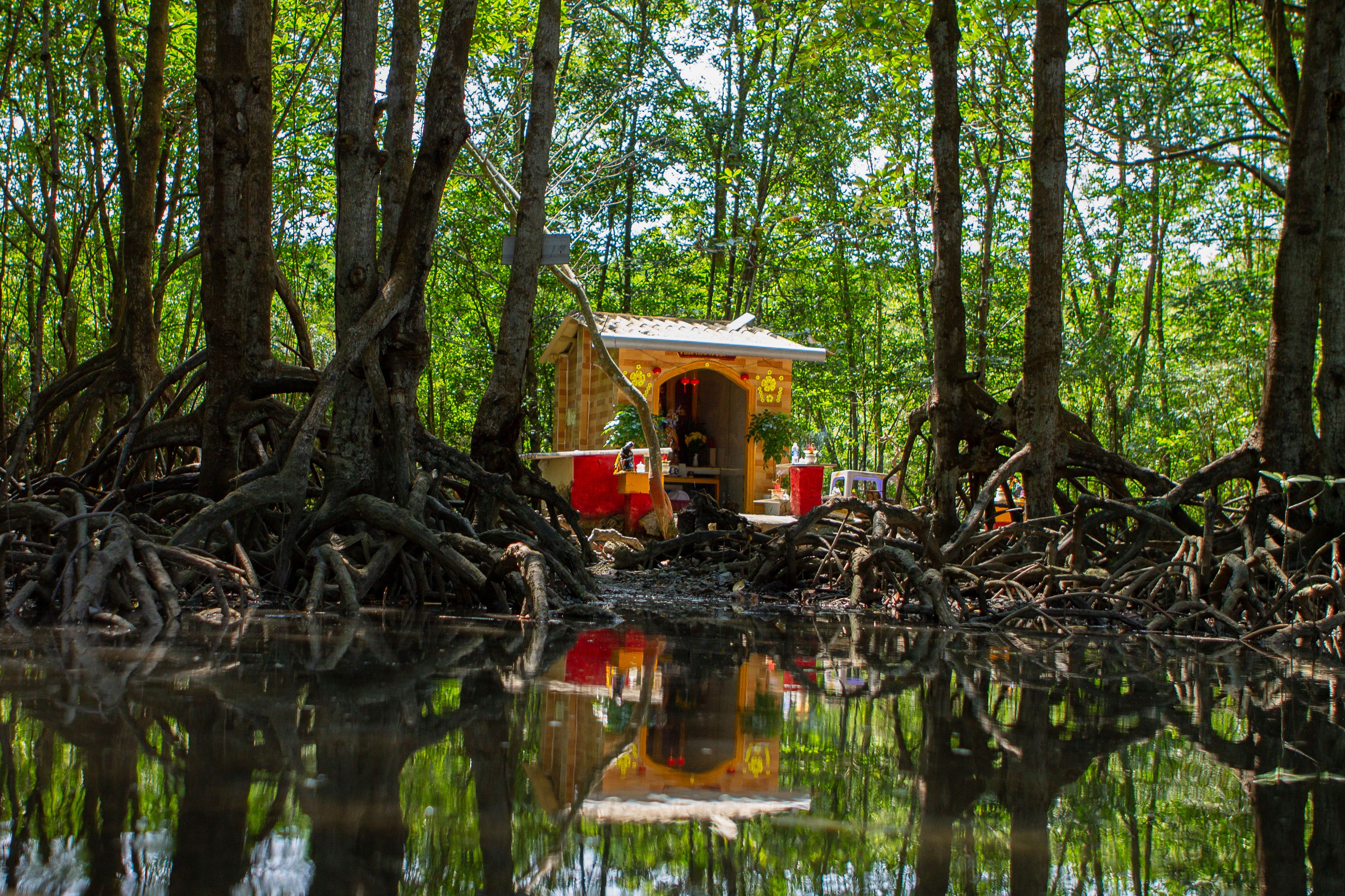 wral.com - ANIRUDDHA GHOSAL — Associated Press - Coastal construction projects threaten the mangrove forest that protects Vietnam's biggest city