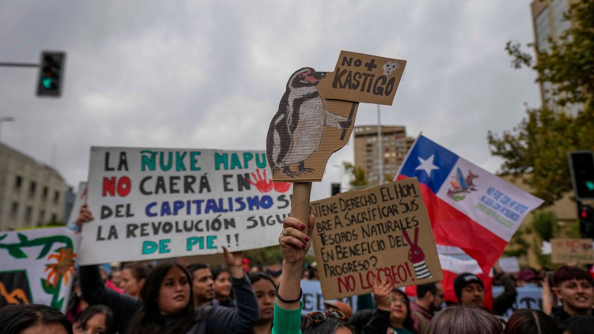 A protester holds a sign that reads in Spanish, "No punishment," a pun involving the name of Chile's President Jose Antonio Kast, during a march marking World Water Day demanding greater environmental protection and animal welfare, in Santiago, Chile, Sunday, March 22, 2026. (AP Photo/Esteban Felix)