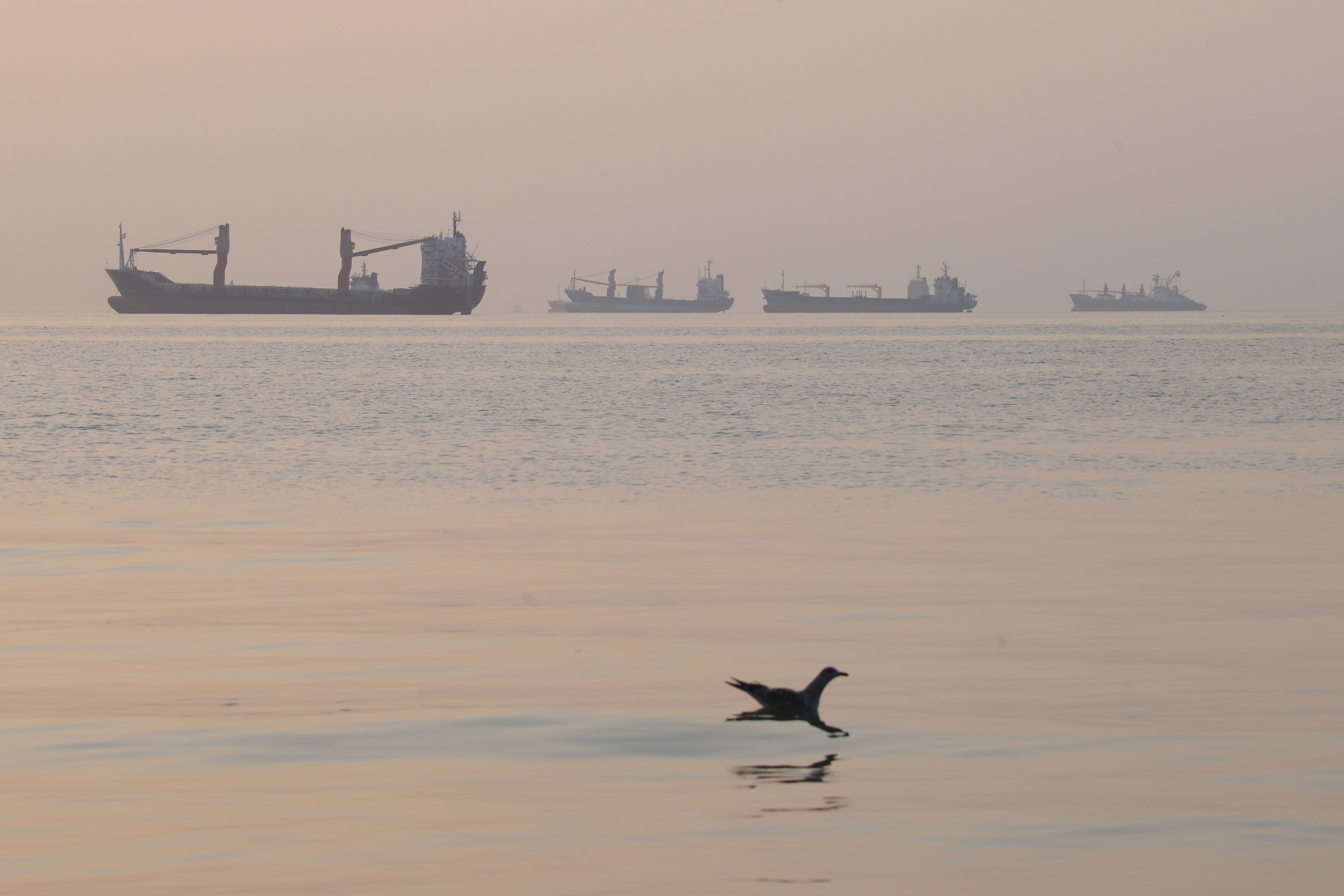 wral.com - The Associated Press - Iran says 3 oil tankers struck mines, and other Mideast news