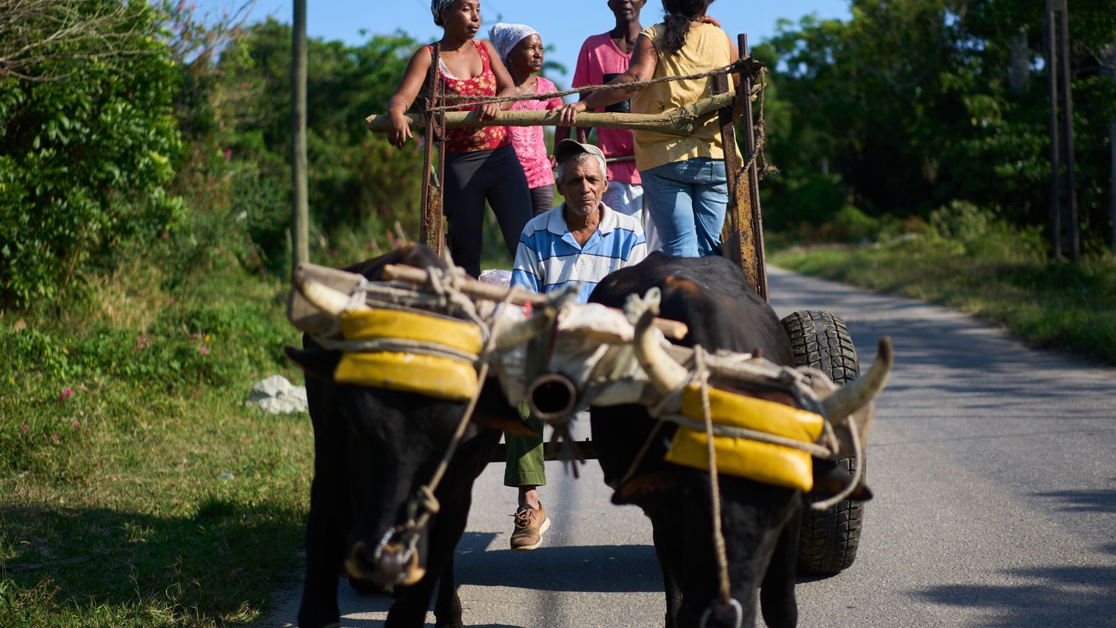 US energy blockade leaves Cuban farmers struggling to feed a nation