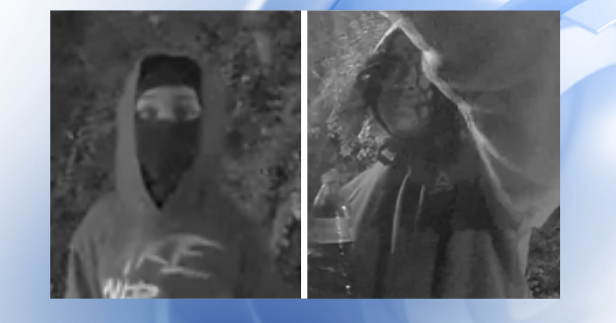 Arson News Image