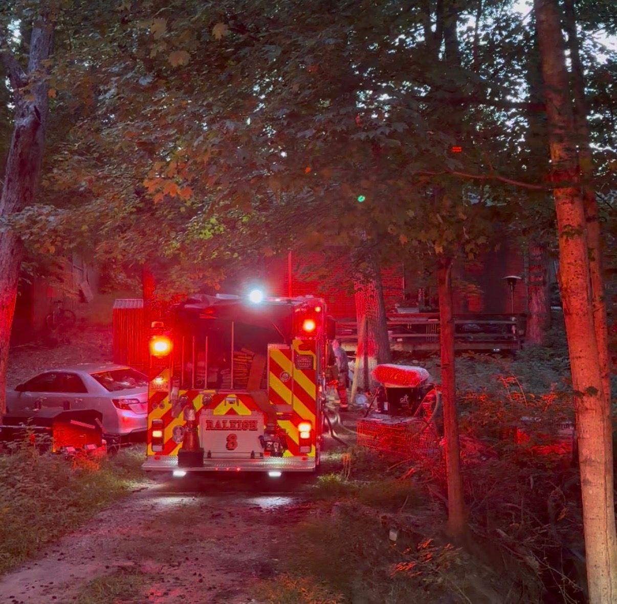 2 dogs die from Raleigh house fire