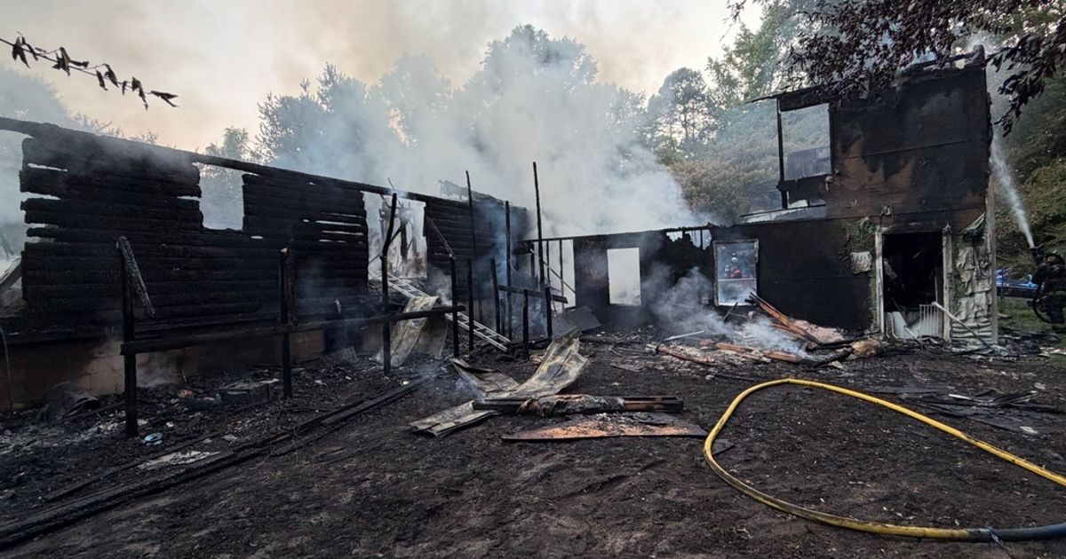 Fire at Wilson animal rescue leaves homeowner injured, 30 cats dead