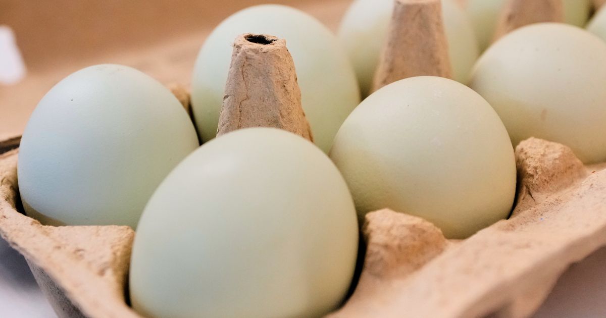 Salmonella outbreak tied to eggs has sickened 98 people since November