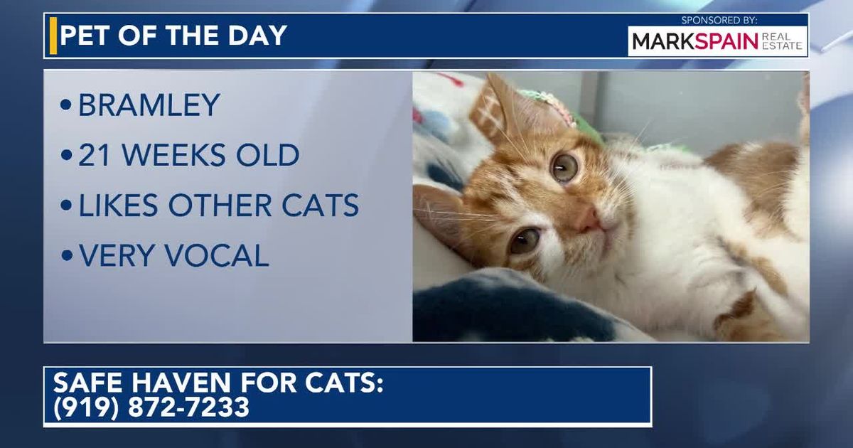 Pet of the Day: October 26, 2026