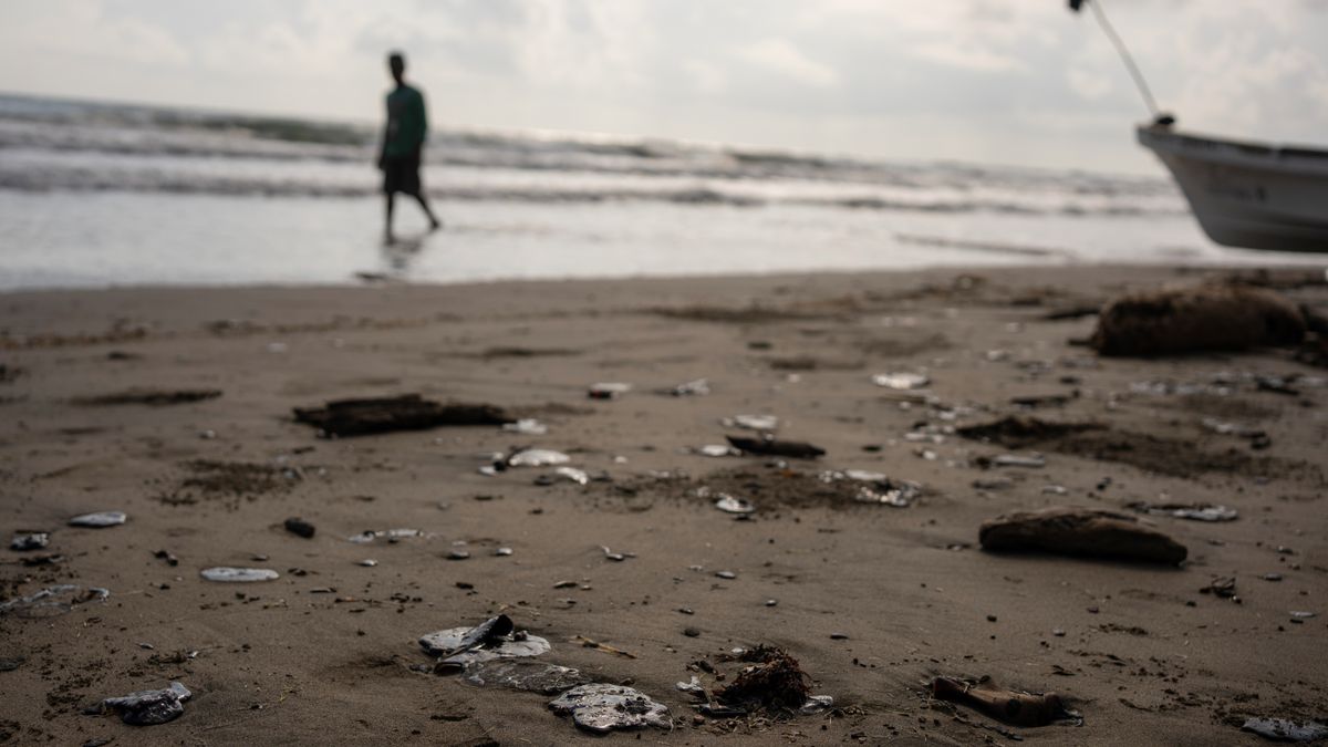Clumps of oil residue lie on the shore after fishing outings were suspended because of an oil spill that Mexican authorities said originated from an unidentified vessel and two natural oil seeps along the Gulf coast in Salinas, Mexico, Thursday, March 26, 2026. (AP Photo/Felix Marquez)